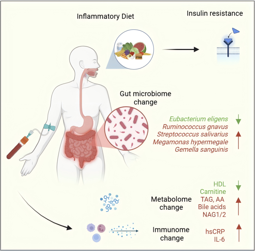 Research Framework Diagram
